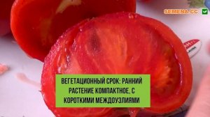 Томат Макан F1. Відео. Плід у розрізі