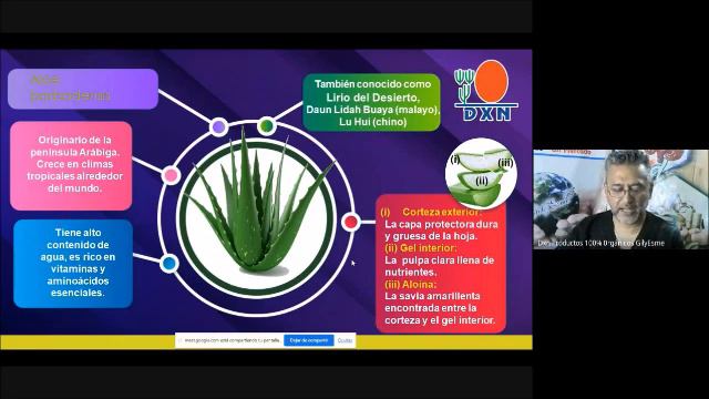 Aloe Vita смотреть онлайн