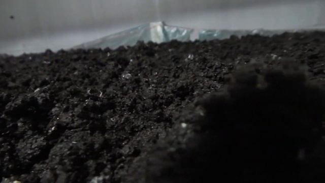 Выращивание шампиньонов. Бизнес в гараже. От компоста до грибов. Как это сделано смотреть онлайн