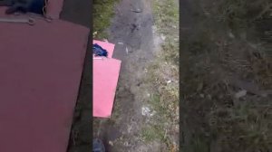 Сузуки витара эскудо замена пружины здание XL-7