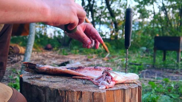 Укрытие из Плащ Палатки,ночевка в лесу,щука на костре. смотреть онлайн