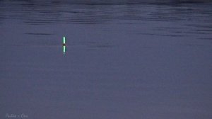 Рыбалка на Оке 2022 на удочку в ночь! Поплавок -Светлячок!