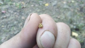 Золото урала. Gold of the Urals