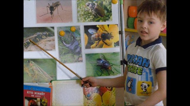 Наставник в профессии воспитатель смотреть онлайн