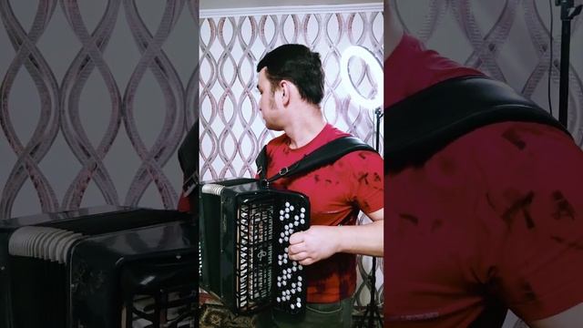 Эй, диск-жокей,сделай музыку громче...| #баянист снова в деле ? смотреть онлайн