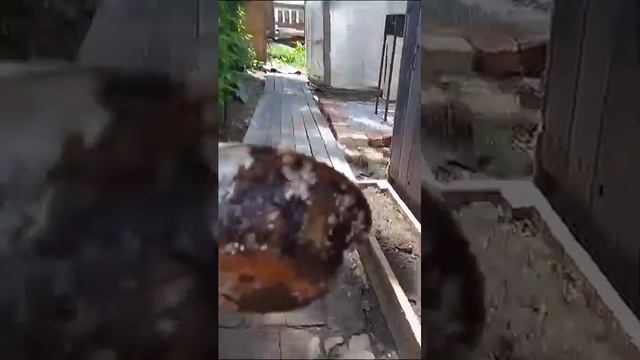 Соль для бани разъела металл смотреть онлайн