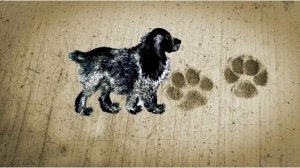 Евгений Чарушин «Тюпа и Томка»