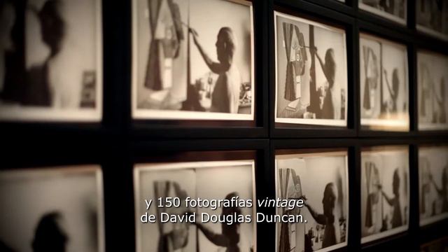 Picasso revelado por David Douglas Duncan: concepto curatorial смотреть онлайн