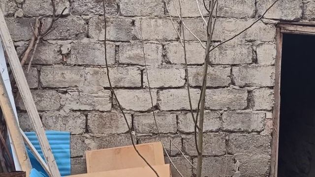 Строй мини питомник для Волкодавов Грузинская горная собака НАГАЗИ / GEORGIAN MOUNTAIN DOGS смотреть онлайн