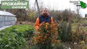 Как ПРАВИЛЬНО хранить навоз без ВРЕДА ЗДОРОВЬЮ, ПРИРОДЕ и КОШЕЛЬКУ!