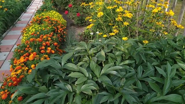 На соседнем участке, в гостях. смотреть онлайн