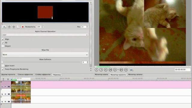 Как создать эффект картинка в квартинке в kdenlive? смотреть онлайн