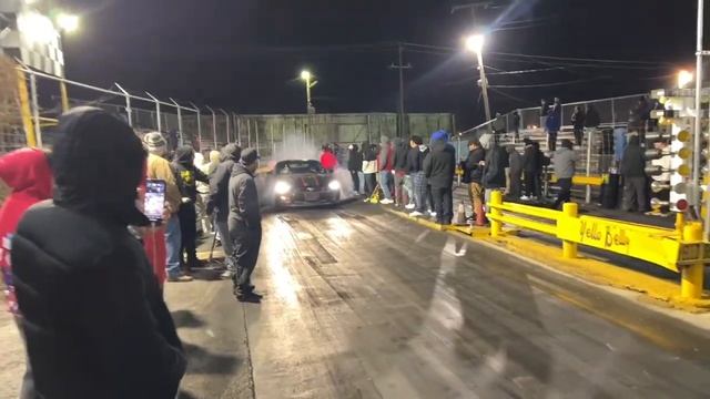 Yellow belly смотреть онлайн