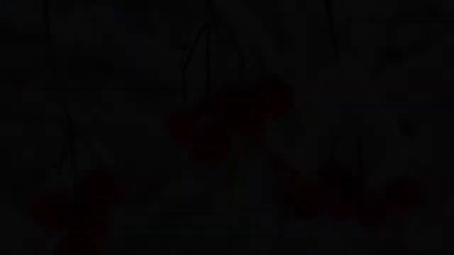 графика природа смотреть онлайн