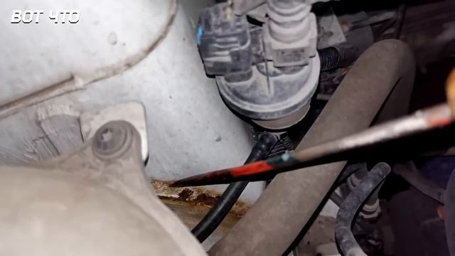 ПИРАТОВ НА ПЕРЕДОК / СОЮЗНИКИ ВЫХОДЯТ С БРИКС / БАБУШКИ КОРМЯТ АДАМА смотреть онлайн