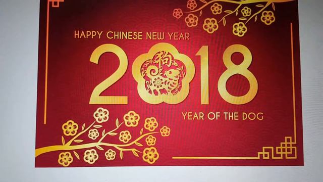Прогноз на 2018 год для людей родившихся в год: кота (кролика) и дракона смотреть онлайн