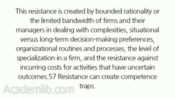 THE DYNAMIC CAPABILITIES PERSPECTIVE