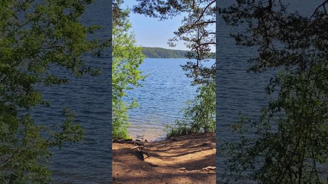 Карелия. Пейзажи. Июнь 2023г (Часть 2).mp4 смотреть онлайн
