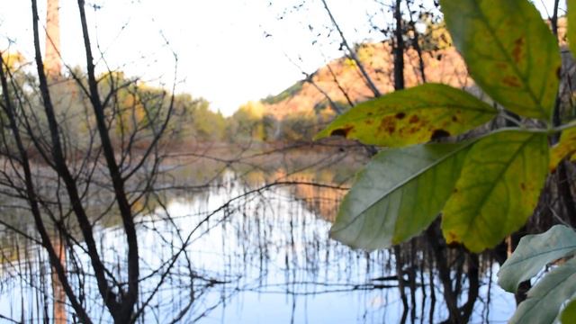 Рыжее озеро. Скрытый пруд с рыжей водой смотреть онлайн