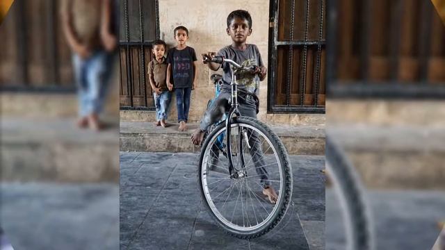 Var Git Ölüm смотреть онлайн