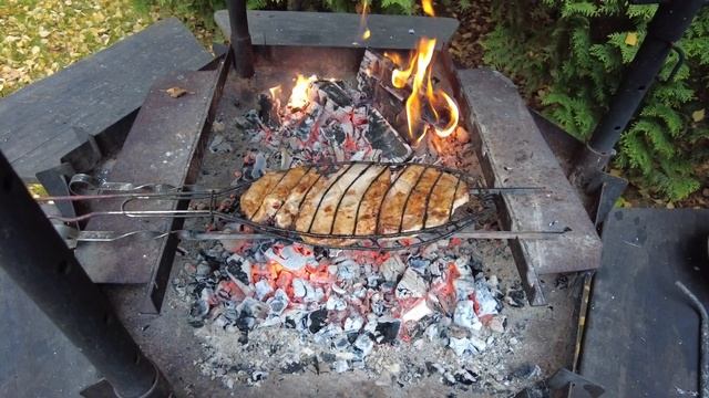 ЭЛЕКТРОмотор ⚡️ на мотокультиваторе КРОТ ? Готовимся к осенней посадке. смотреть онлайн