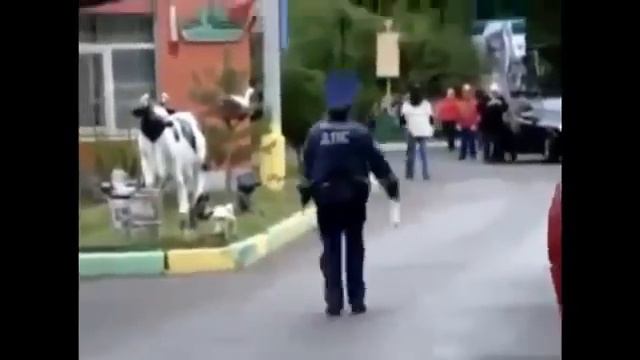 Танцующие менты HD видеохостинг Киносток смотреть онлайн