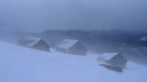 Зимняя вьюга в деревне на Севере