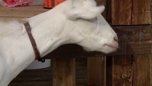 О хлебе насущном от 12.03.21 смотреть онлайн