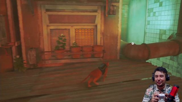 PS5. STRAY. PISHAK NAJIM #1. YANGI O'YIN ! JONLI EFIR смотреть онлайн