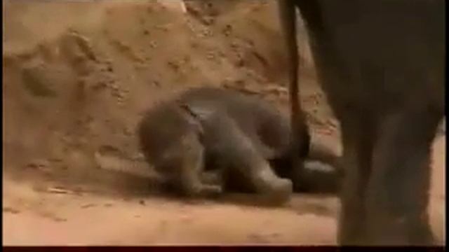 Ты какашка!! смотреть онлайн