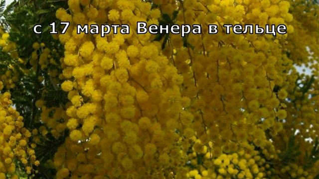Март 2023 для знака Весы. Астрологический прогноз. Сатурн и Плутон меняют знаки. смотреть онлайн