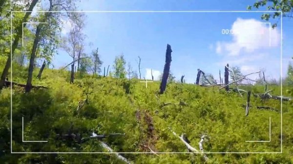 Супер эндуро гонка на Камчатке. Bear Trails enduro.