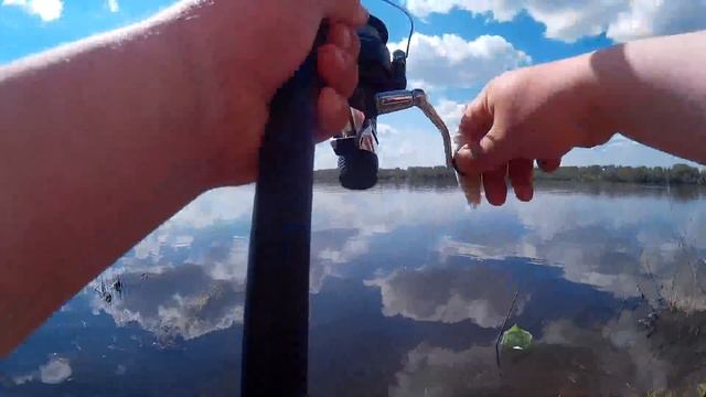 Фидер,Река Волга конец мая,ловля не плохой плотвы!!! смотреть онлайн