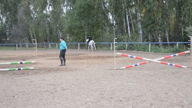 Тренировка по конкуру (ШВЕ "Династия"). смотреть онлайн