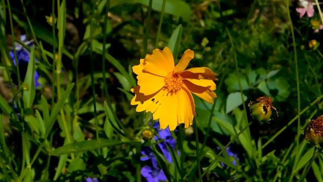 Парк санатория "Россия" в Ессентуках смотреть онлайн