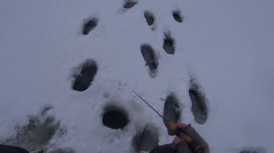 Совместная Рыбалка с каналом Охотник Рыбак из Якутии.