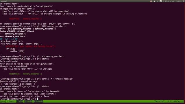 Lessons from LARS: Intro to Git смотреть онлайн