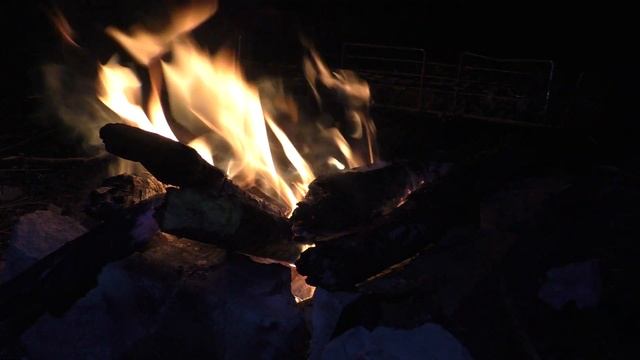 Рыбалка на карпа весной. Рыбалка с лайками. Готовка жареного карпа на костре. Рыбалка с собаками смотреть онлайн