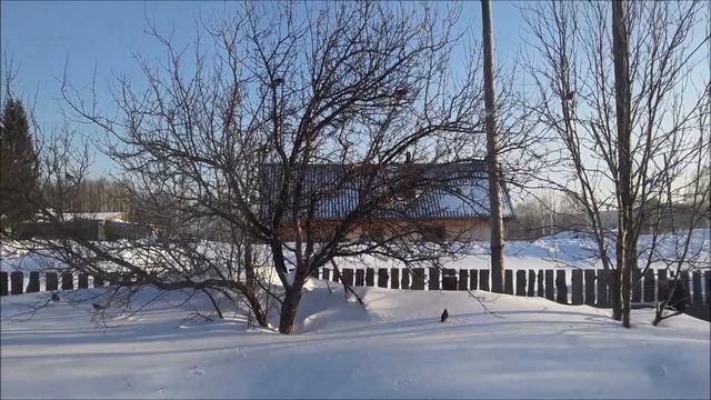 Рябинники наведывались в гости смотреть онлайн