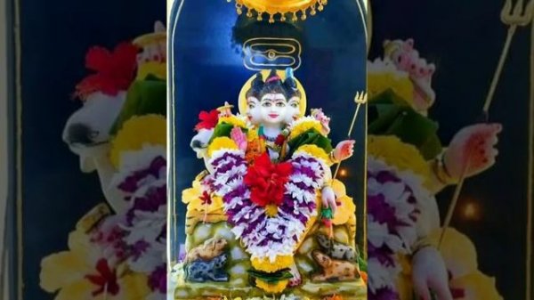 Datta gutu | dattaguru songs | दत्त गुरू ची गिते |marathi geet |#dattaguru #dattatreya @user-nn8up8