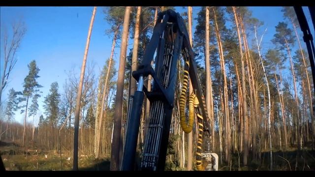 Валка монстров !!!(толстый лес)