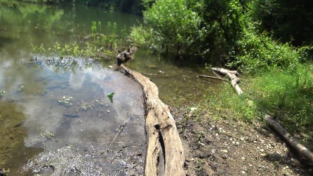 2021.07.24-25 Хыжи. Озеро силы. смотреть онлайн