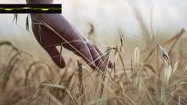 Movementgod Descant ebvcsrtppv смотреть онлайн