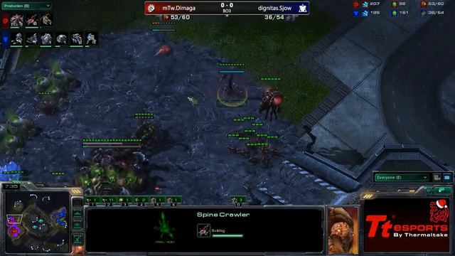 Twitch.tv Invitational - G1 - mTw.Dimaga (Z) v dignitas.Sjow (T) смотреть онлайн