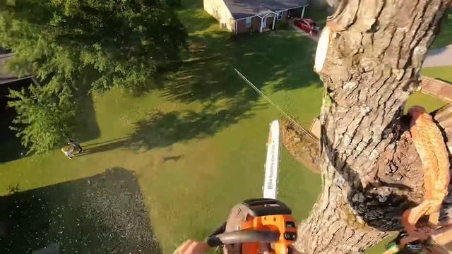 Tree job gone bad | what to do if this happens смотреть онлайн