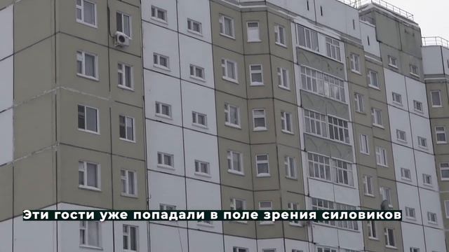 Наркопритон 04.02.2021 смотреть онлайн