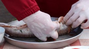 ЩУКА на УГЛЯХ. Рецепт рыбы на мангале. ENG SUB