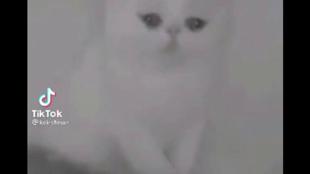 ну почему мало лайков и подписчиков почему вы меня так и не не смотрите (посмотрите конец) 😭 смотреть онлайн