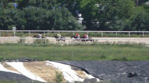 02.07.2017 - Приз в честь Дня ГАИ России - Доури Киттен
