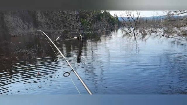 Трофейная рыбалка на НБВХ. Часть 3. смотреть онлайн
